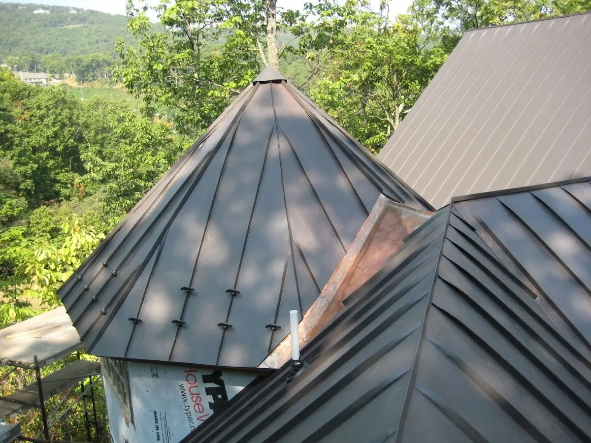 Professional Gutter Cleaning by Craftsman Roofing in Sylvia Park